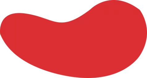 雷竞技新版官网-雷竞乐技斗鱼s8合作伙伴